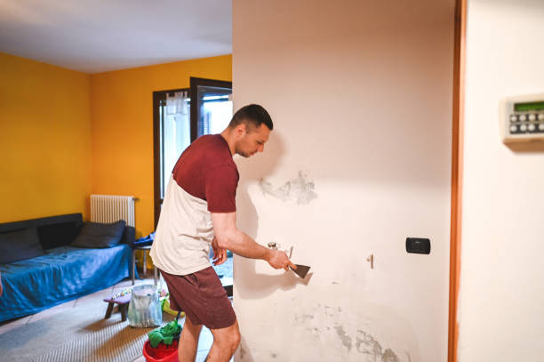 Best Residential Mold Remediation in Lewiston, CA